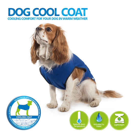 Ancol cooling dog coat sitting dog pose