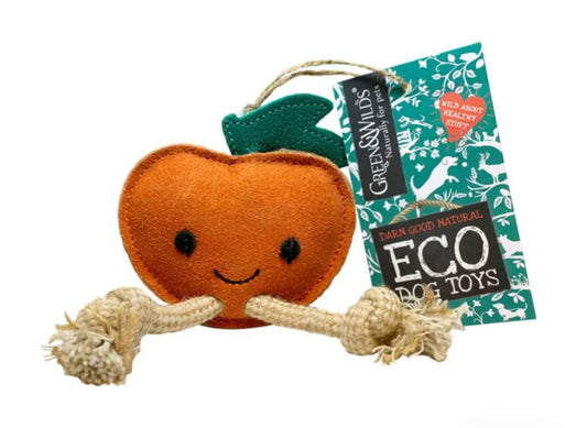 Green & Wild's Sancho the Satsuma Seasonal Eco-toy