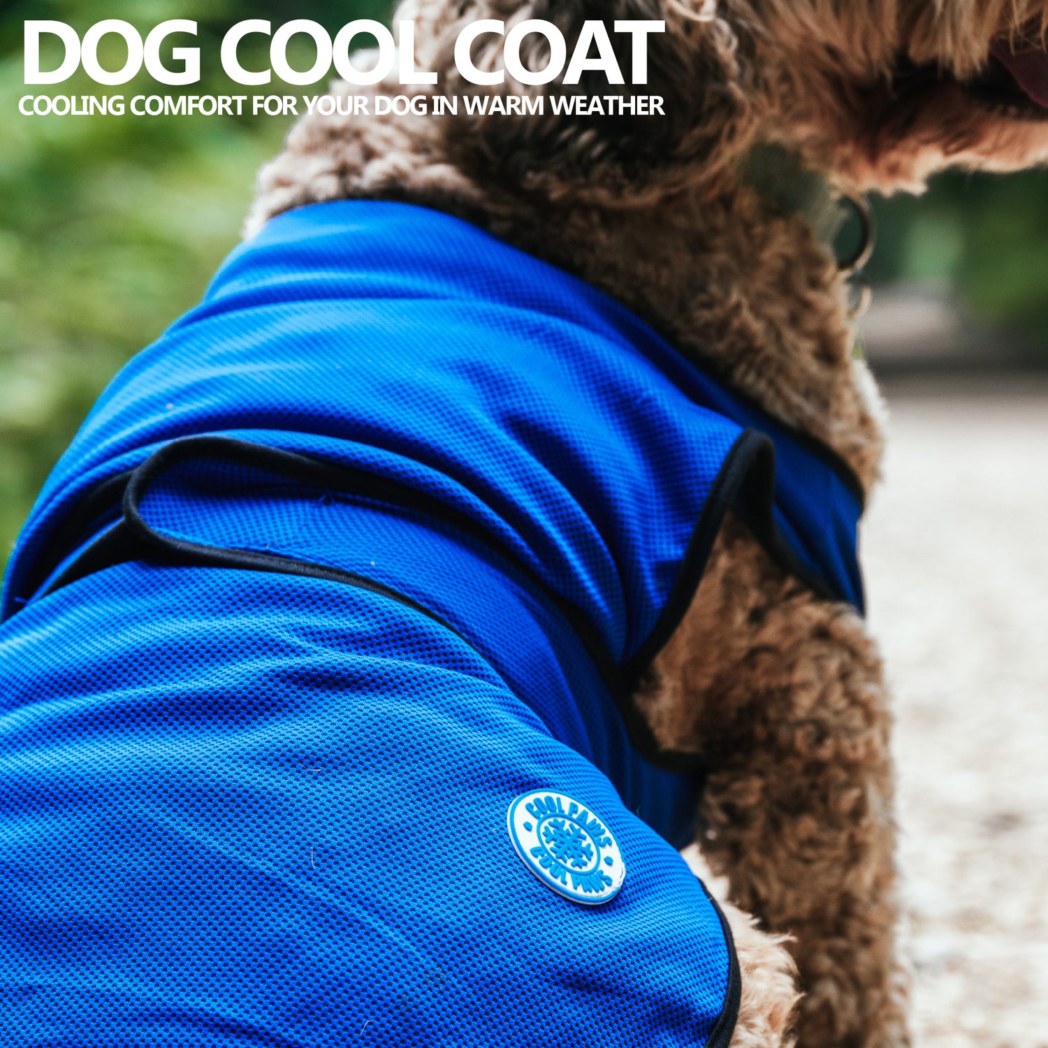 Ancol cooling dog coat close up