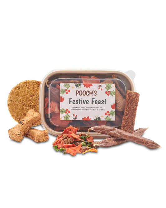Pooch's Festive Feast - Christmas dinner in a tub!