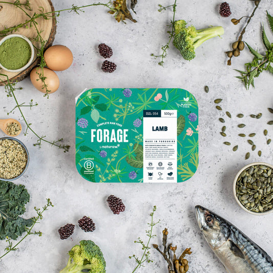 Forage by Naturaw: Lamb (500g) - Local pick up only